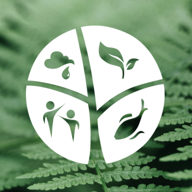 emLab logo over fern
